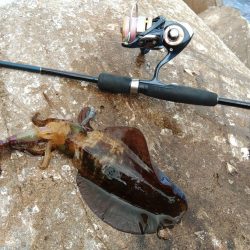 台風が来る前にエギング